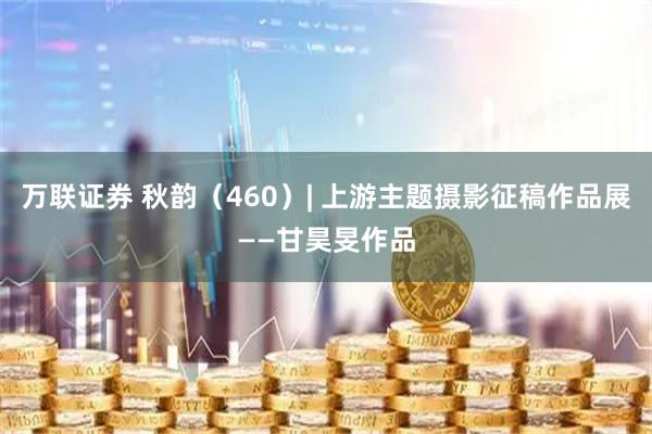 万联证券 秋韵(460)| 上游主题摄影征稿作品展——甘昊旻作品