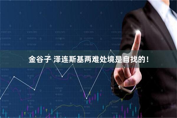 金谷子 泽连斯基两难处境是自找的！