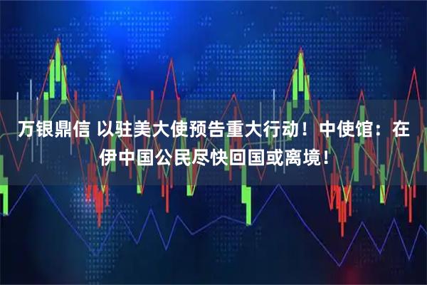 万银鼎信 以驻美大使预告重大行动！中使馆：在伊中国公民尽快回国或离境！