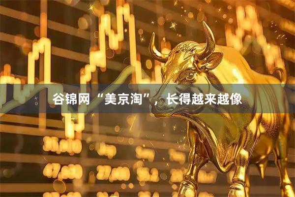 谷锦网 “美京淘”，长得越来越像