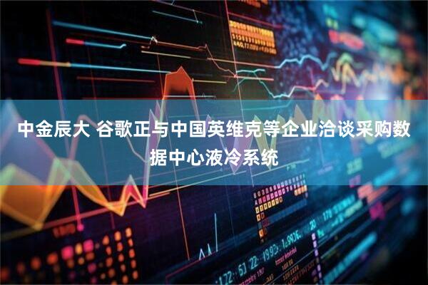 中金辰大 谷歌正与中国英维克等企业洽谈采购数据中心液冷系统